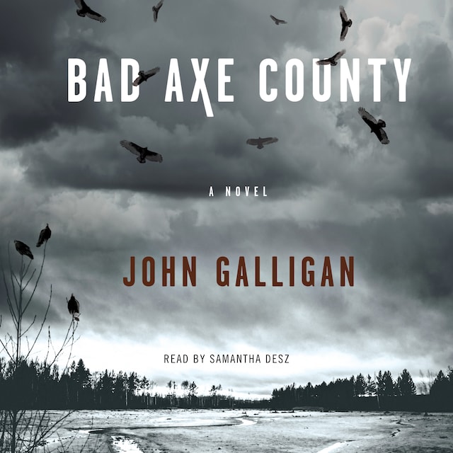 Book cover for Bad Axe County