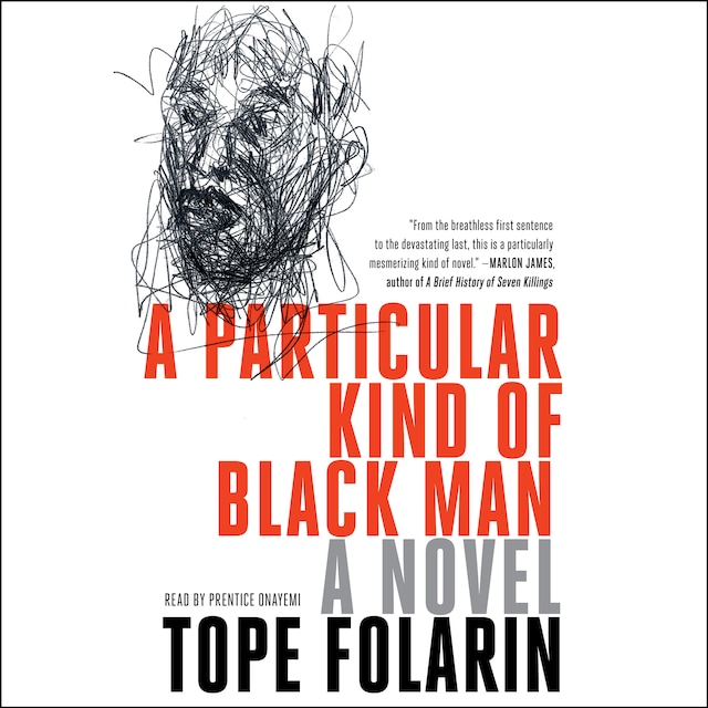 Book cover for A Particular Kind of Black Man
