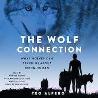 The Wolf Connection