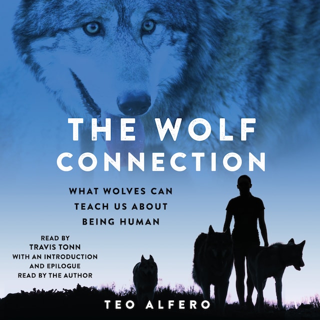 Book cover for The Wolf Connection