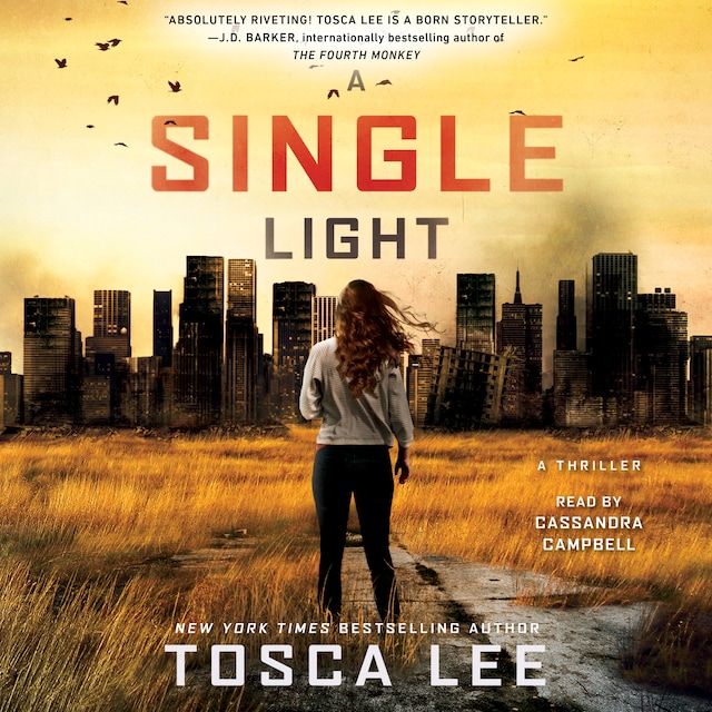 Book cover for A Single Light