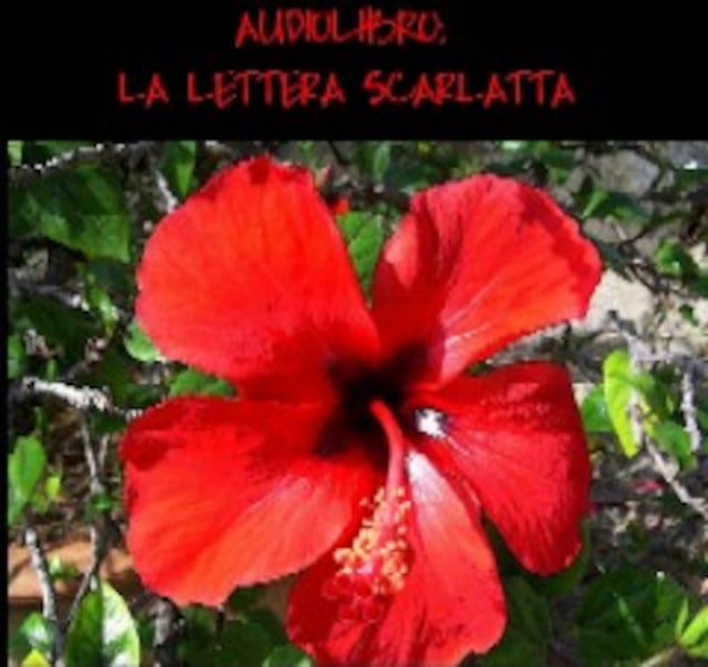 Copertina del libro per La Lettera scarlatta