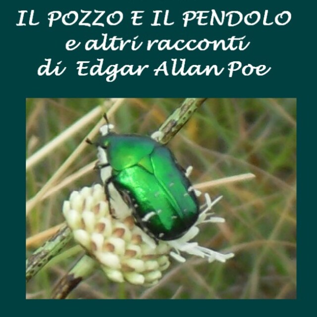 Book cover for Il Pozzo e il pendolo e altri racconti