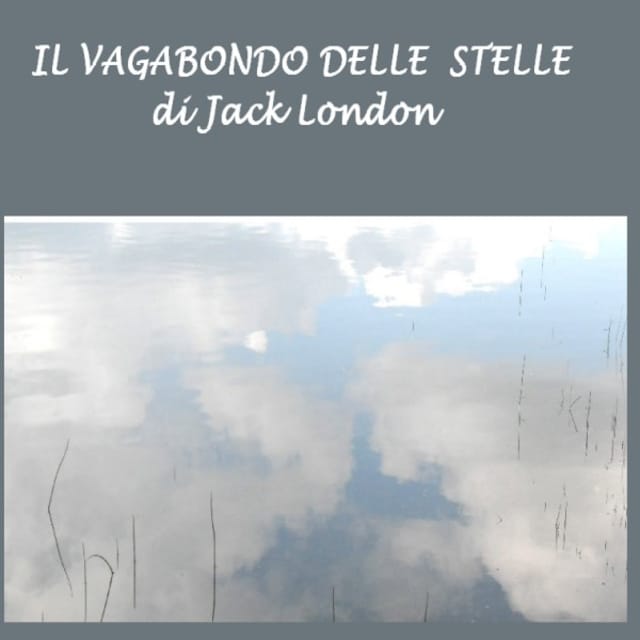 Book cover for Il Vagabondo delle stelle
