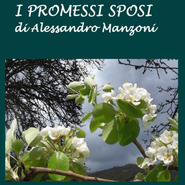Buchcover für I Promessi Sposi