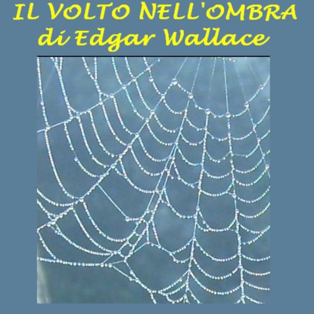 Okładka książki dla Il Volto nell'ombra