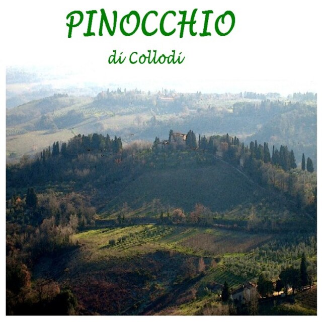 Book cover for Pinocchio: Le avventure di un burattino