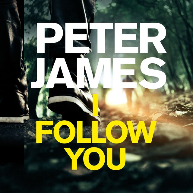 Couverture de livre pour I Follow You