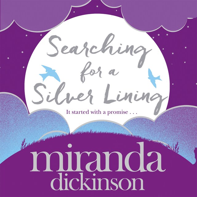 Book cover for Searching for a Silver Lining