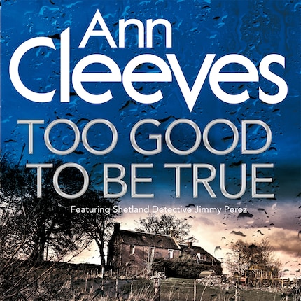 Too Good To Be True bookCoverFor