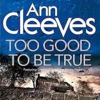 Too Good To Be True
