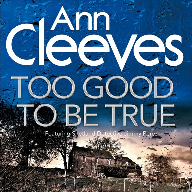 Book cover for Too Good To Be True