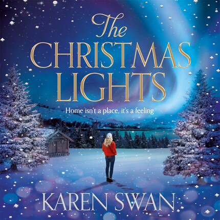The Christmas Lights bookCoverFor