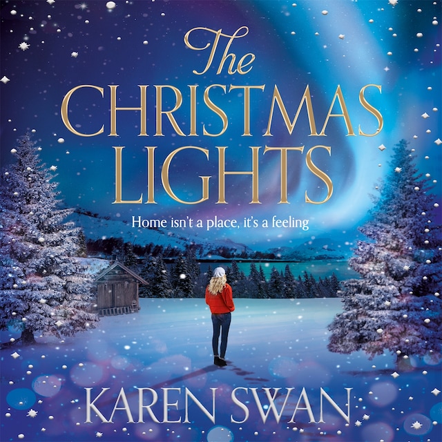 Book cover for The Christmas Lights