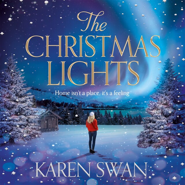 Book cover for The Christmas Lights