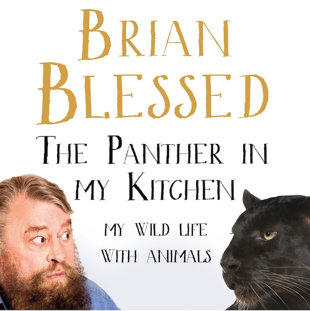 Kirjankansi teokselle The Panther In My Kitchen