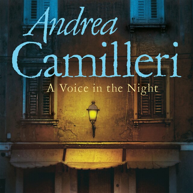 Book cover for A Voice in the Night