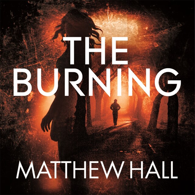 Couverture de livre pour The Burning