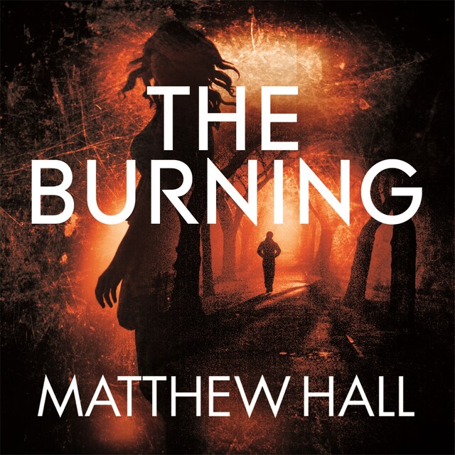 Book cover for The Burning