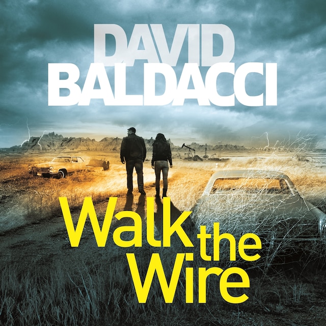 Book cover for Walk the Wire