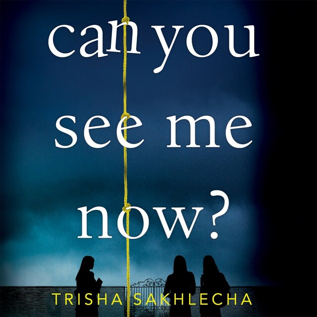 Book cover for Can You See Me Now?