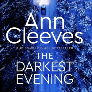 The Darkest Evening bookCoverFor