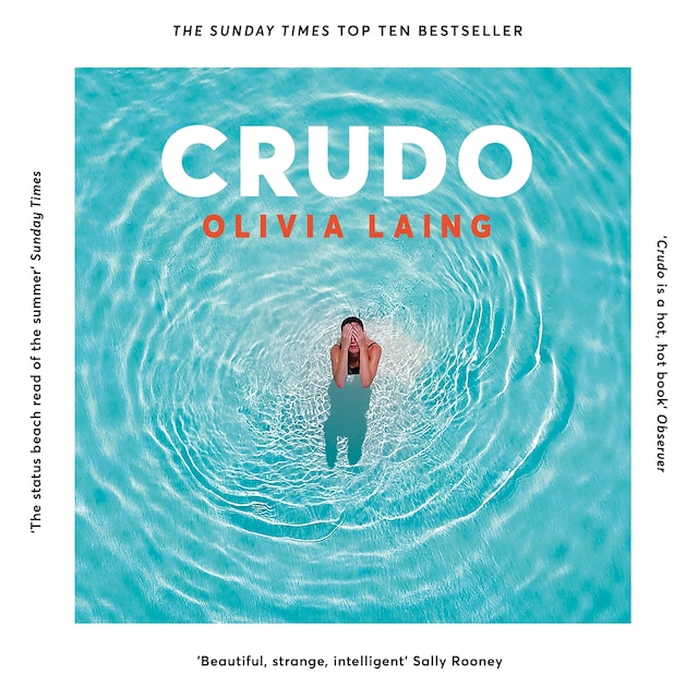 Book cover for Crudo