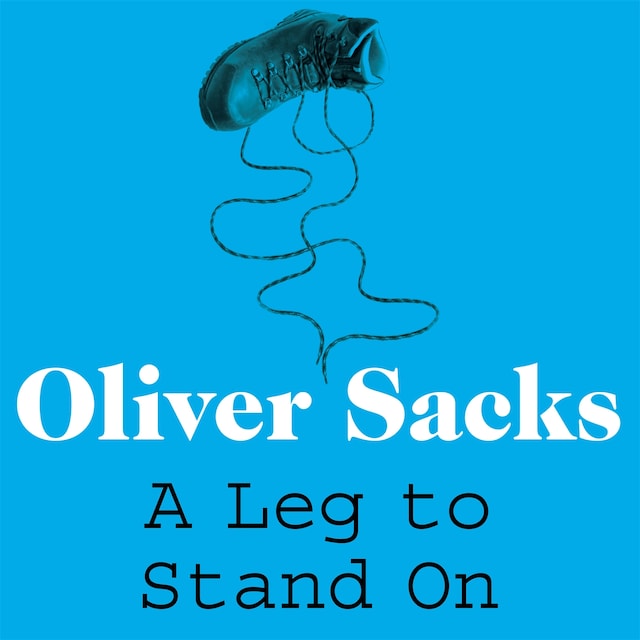 Book cover for A Leg to Stand On
