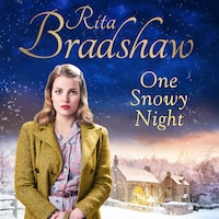 One Snowy Night