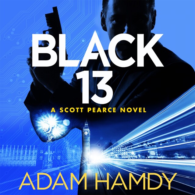 Book cover for Black 13