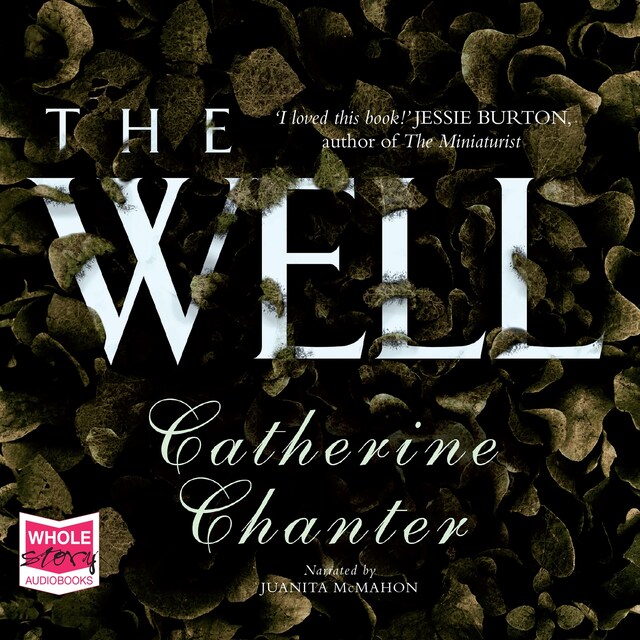 Book cover for The Well