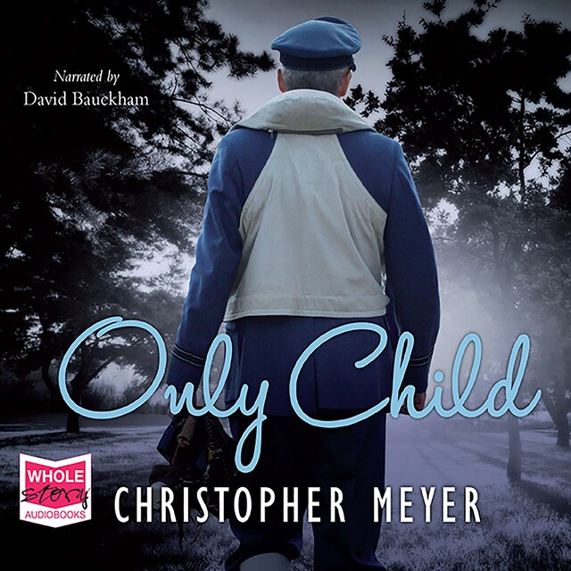 Book cover for Only Child