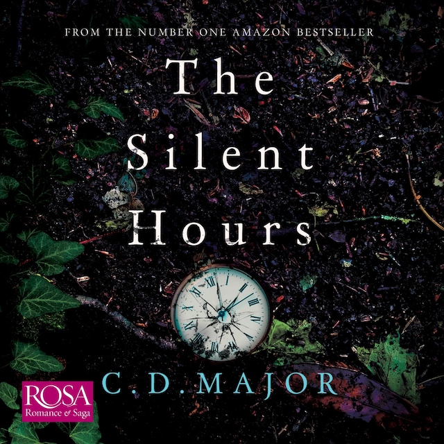 Book cover for The Silent Hours