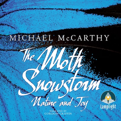 The Moth Snowstorm