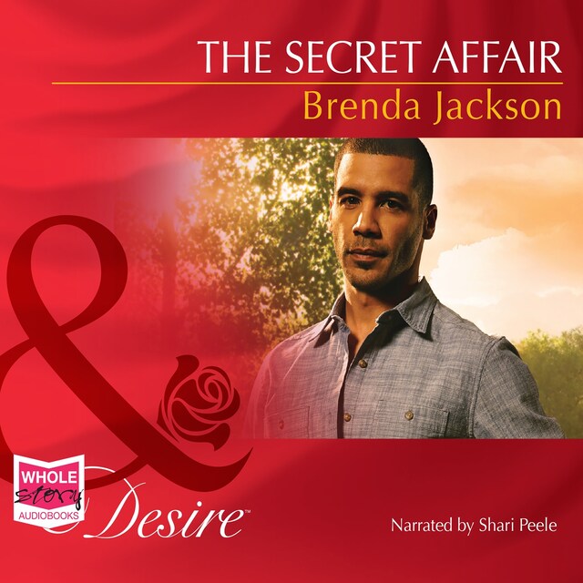 Book cover for The Secret Affair