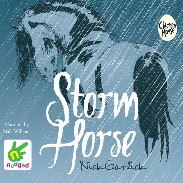 Book cover for Storm Horse