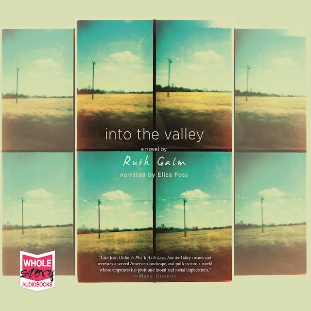 Book cover for Into the Valley