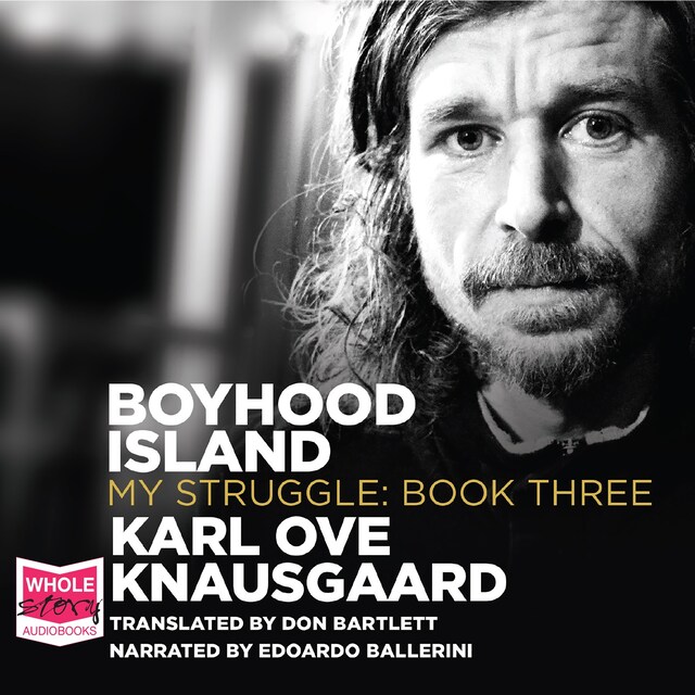 Book cover for Boyhood Island