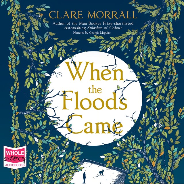 Book cover for When The Floods Came