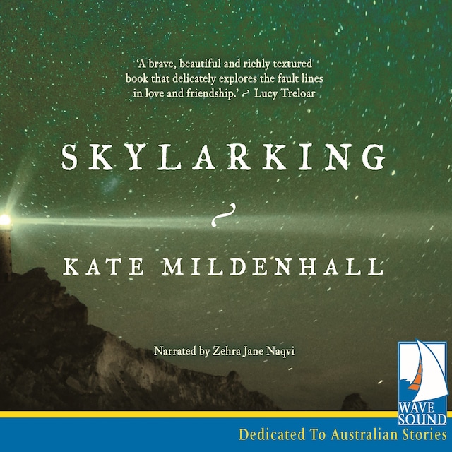 Book cover for Skylarking