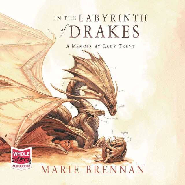 Book cover for In the Labyrinth of Drakes