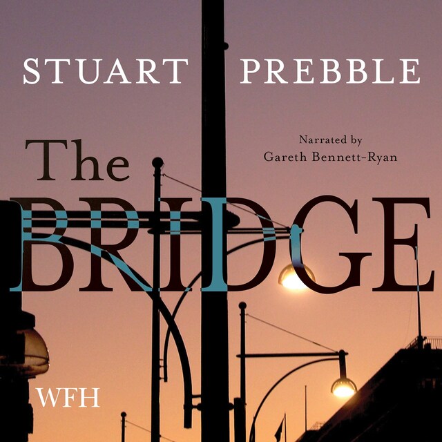 Book cover for The Bridge