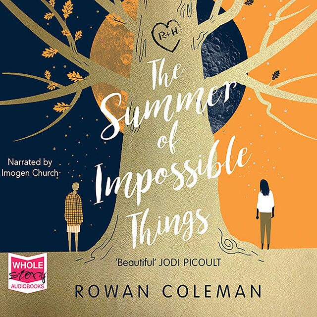 Book cover for The Summer Of Impossible Things