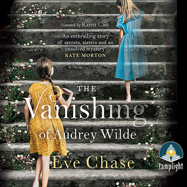 Book cover for The Vanishing of Audrey Wilde