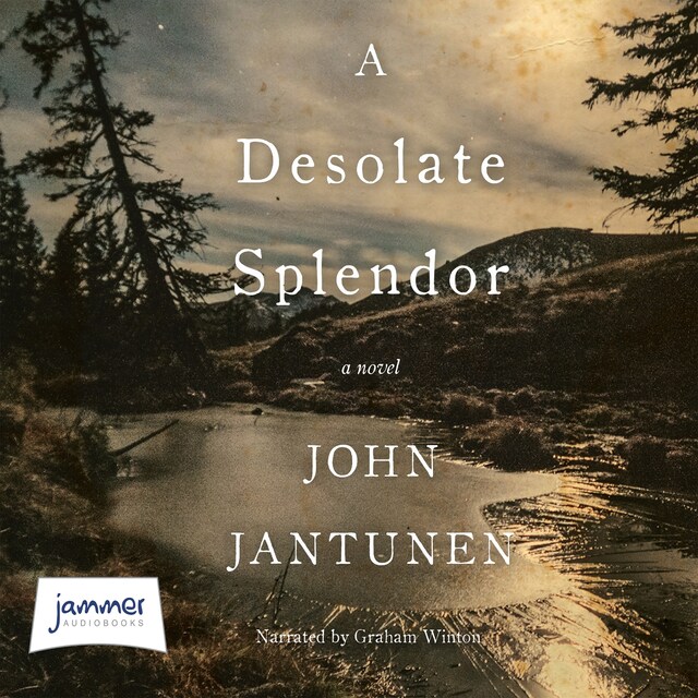 Book cover for A Desolate Splendor