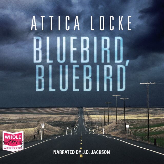 Book cover for Bluebird, Bluebird