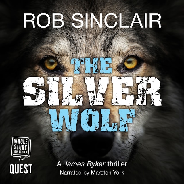 Book cover for The Silver Wolf