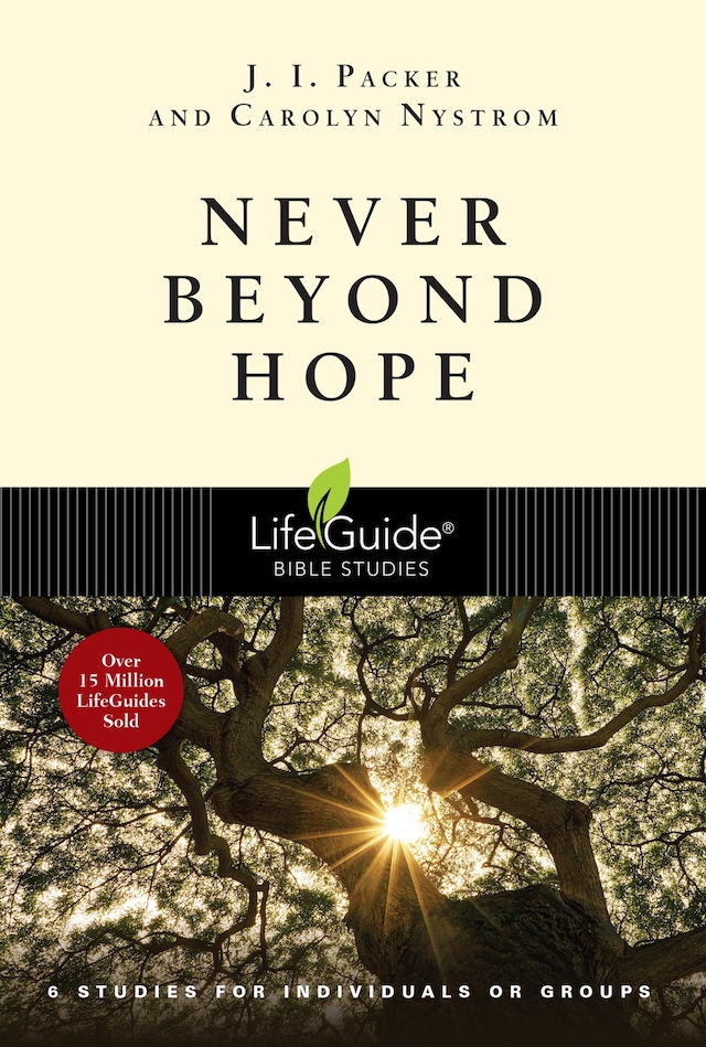 Copertina del libro per Never Beyond Hope
