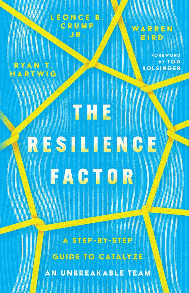 Book cover for The Resilience Factor