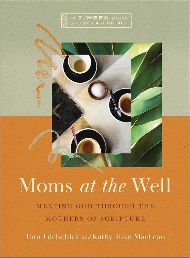 Book cover for Moms at the Well